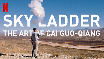 Sky Ladder: The Art of Cai Guo-Qiang (2016)